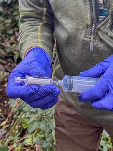 CSI (Crayfish Survey Investigation) team in the forest